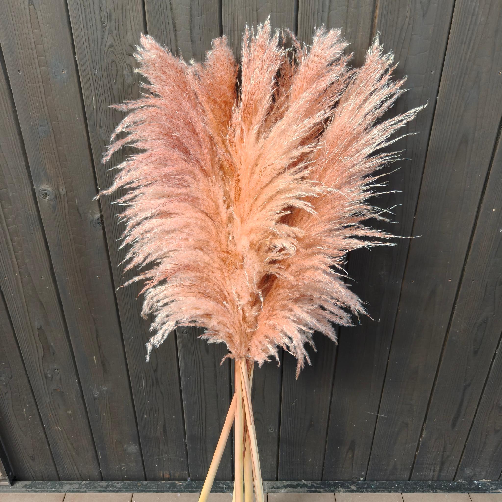 今季!秋冬カラーのパンパスグラス 開店祝い 花 ドライフラワー インテリア ウェディング 大人クリスマス2025 | 7枚目